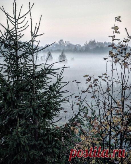 (20) Одноклассники