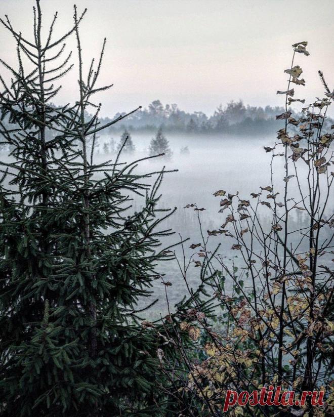 (20) Одноклассники