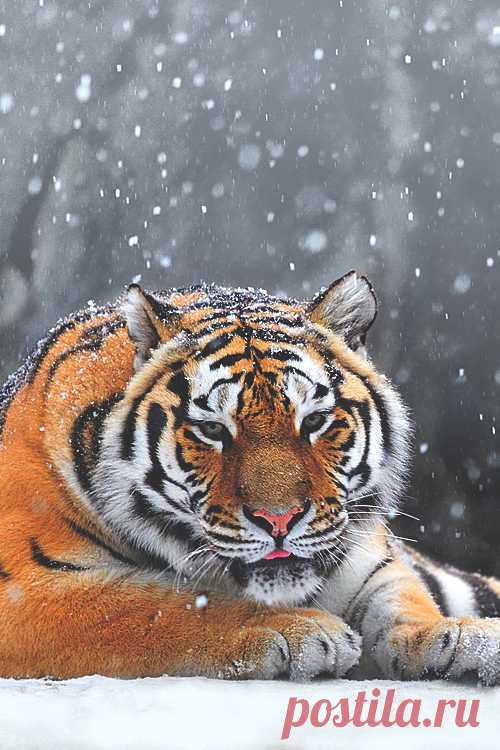 (5) Tumblr