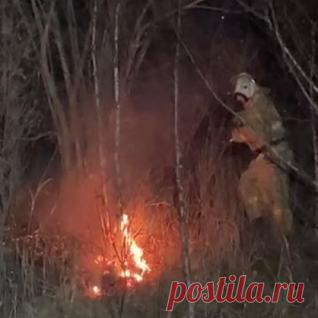 На юге Приморья ввели особый противопожарный режим. В Хасанском муниципальном округе на юге Приморского края ввели особый противопожарный режим из-за числа пожаров, сообщили власти муниципалитета в телеграм-канале.