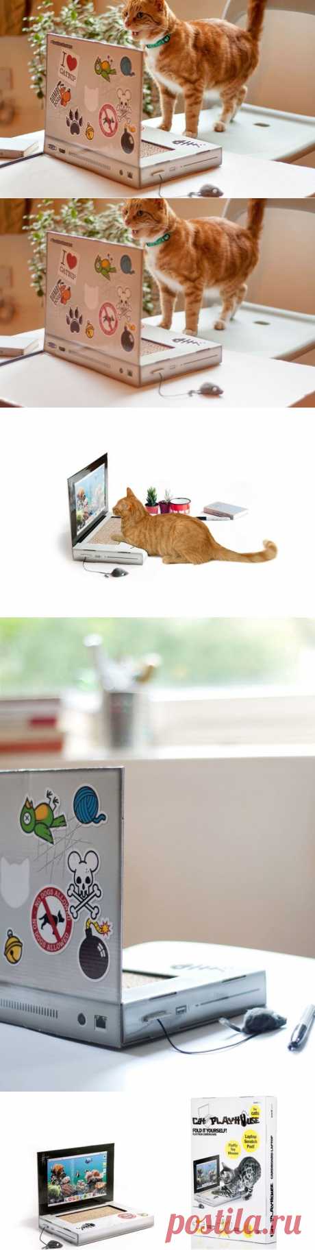 Котбук — ноутбок для котиков