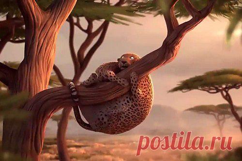 Если бы животные Африки питались в Макдональдсе