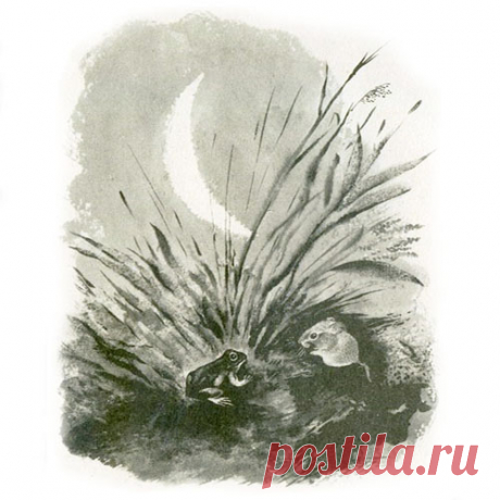 СТРАШНАЯ НОЧЬ