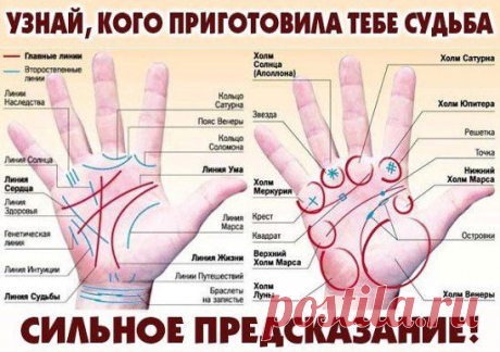 Оказывается линии на руке, могут много рассказать о ваших отношениях! Узнай, насколько вы как пара подходите другу-другу и какое у вас будущее. Если линия…Продолжение - ok.ru/kopilkasc