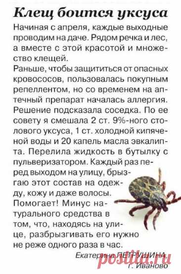Клещ боится уксуса