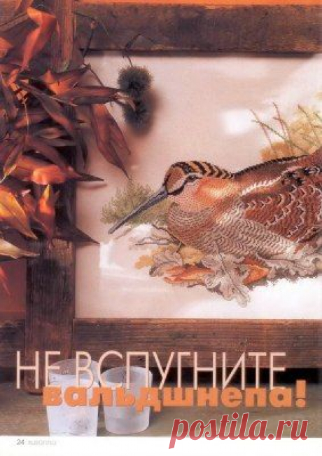 Отдых