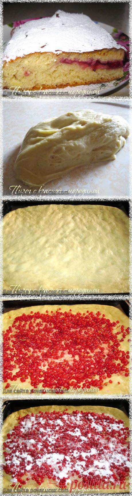 Пирог с красной смородиной - Готовим сами