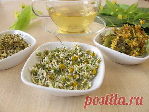 Как сделать смывку волос черного цвета блондораном: видео-инструкция по приготовлению своими руками, чем делается смывание краски, фото и цена