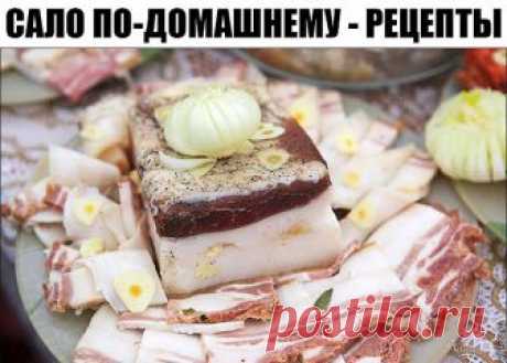 11 способов засолки сала.

Сало по-домашнему 

Устоять - невозможно - рекомендую !!! C нами ты научишься готовить ВКУСНО! Рекомендую 

Самый элементарный способ засолки сала

Сало режем на куски размером с кулак, заранее чистим чеснок из расчета 1 зубчик на 1 кусок сала и этот чеснок режем на кругляшки. Подготавливаем специи - хмели-сунели, перец, молотые семена укропа или любые другие, которые вам нравятся.

На дно эмалированной кастрюли насыпаем немного приправ, перца и ...