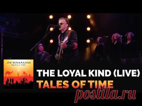 Joe Bonamassa - "The Loyal Kind" (Live) - Tales of Time