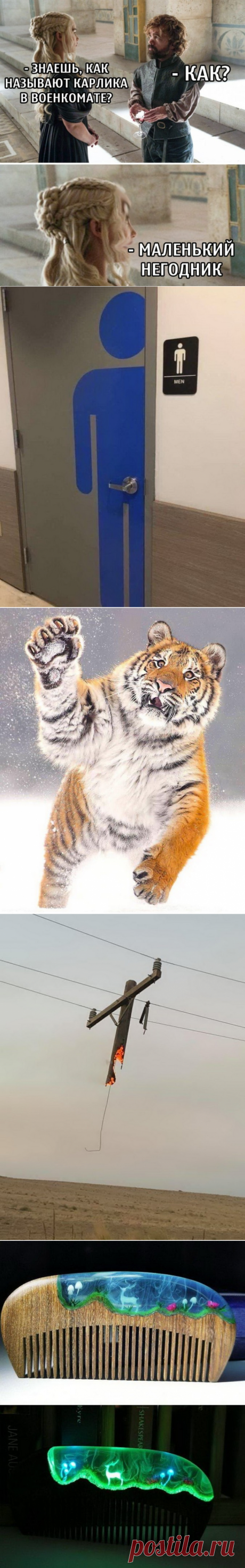Подборка прикольных картинок и фотографий-260