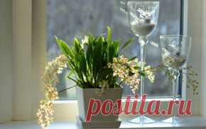 Цветы обои на рабочий стол - страница 10