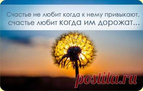 Позитив недели - Цитаты, афоризмы, пословицы - Женский Мир