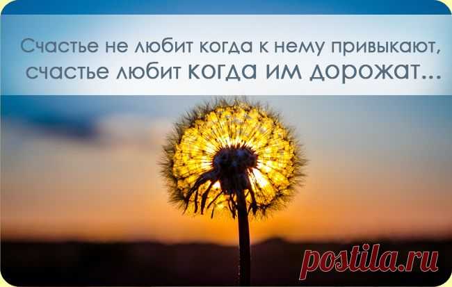 Позитив недели - Цитаты, афоризмы, пословицы - Женский Мир