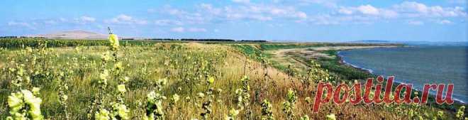 tam_2.jpg (990×253)