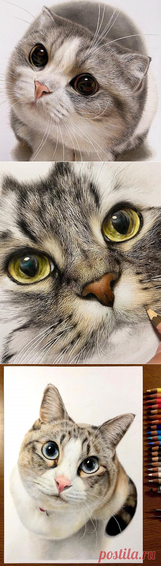Котэ от Haruki Kudo цветными карандашами