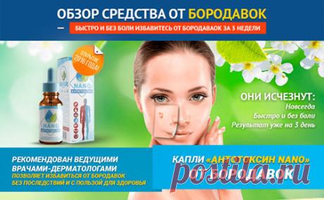 Как быстро и вкусно приготовить запеченные кабачки в духовке. 7 простых рецепта. - Кулинарные Рецепты