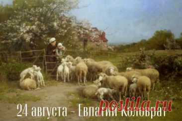 24 августа - день Евпатия Коловрата