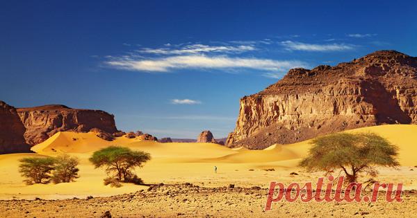 Что похоронила под собой пустыня Сахара Когда речь заходит об этой пустыне, всем сразу представляются бескрайние пески и изнуряющая жара.