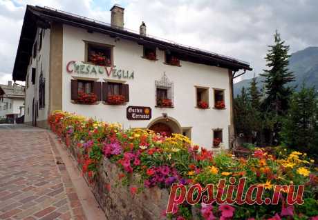 дневник Волчицы голубых кровей