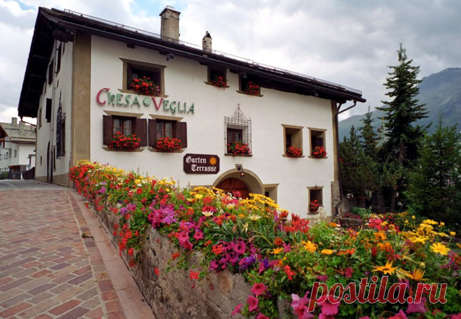 дневник Волчицы голубых кровей