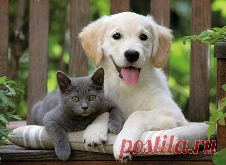 Мой Мир@Mail.Ru