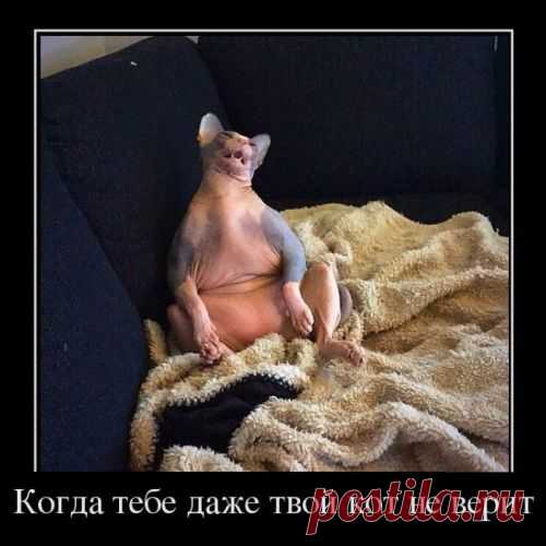 Новые ощущения - МирТесен