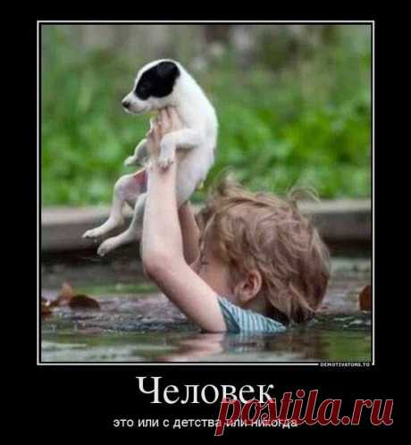 Что такое риск? Это, когда спасая другую жизнь, о своей забывают...