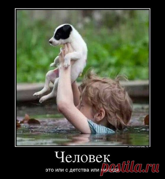 Что такое риск? Это, когда спасая другую жизнь, о своей забывают...