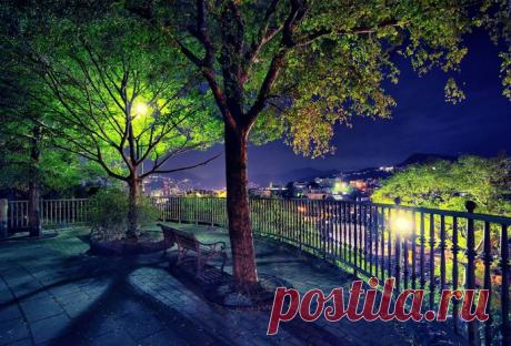 Василий Пелип