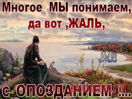 #СтатусыЦитатыАфоризмы