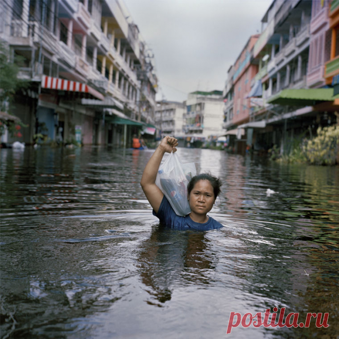 Тонущий мир / Моя Планета