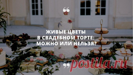 «Можно ли использовать живые цветы в декоре торта?» 👉