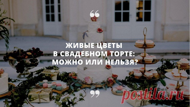 «Можно ли использовать живые цветы в декоре торта?» 👉