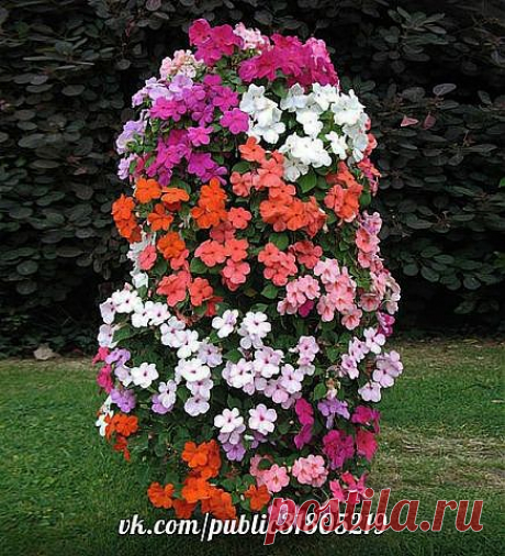 ЦВЕТНИК