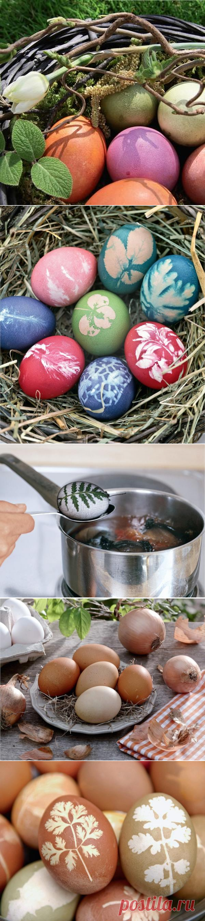 Пасхальные яйца: как покрасить и украсить. Краски и узоры из овощей, трав, листьев и ягод
