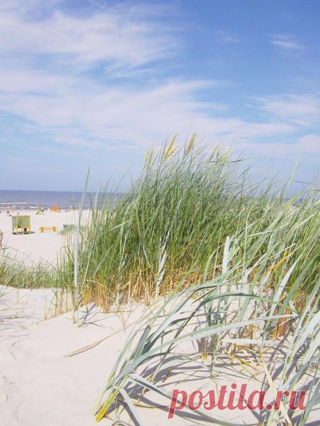 Lithuanian Seaside | LITHUANIA