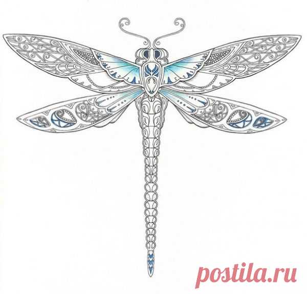 Раскраски / Pinme