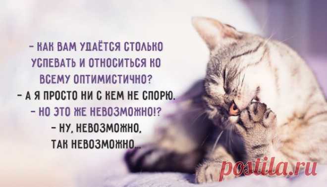 Искусство ведения спора – Фитнес для мозга