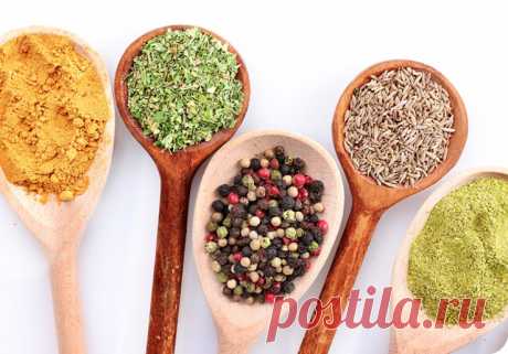 Волшебное дерево: Главная