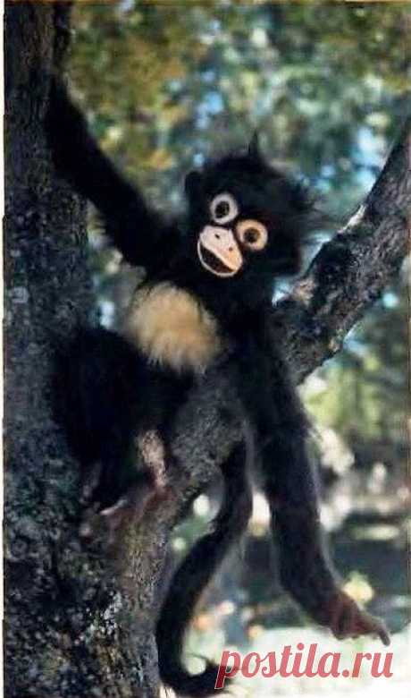 Eu Amo Artesanato: Macaquinhos
