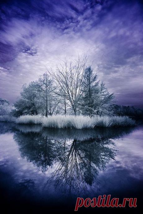 winter wow! | tavel