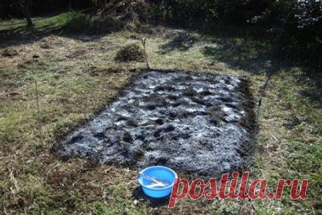 Как и зачем проводят известкование почвы на грядках и в саду