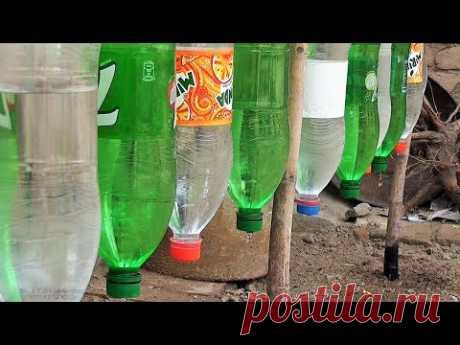 Plastic Bottle Drip Water Irrigation System Very Simple - YouTube