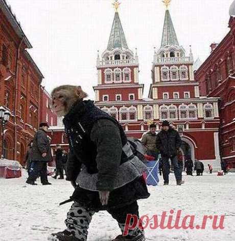 (28) Одноклассники