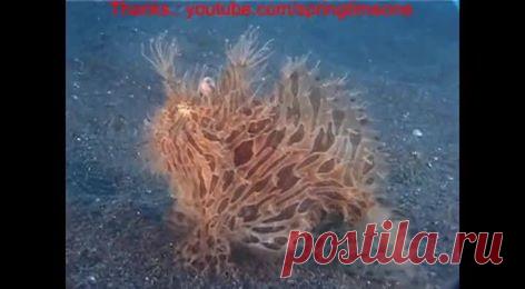 (92) Виктор Морозов - Виктор Морозов поделился видео ดูหนัง 3D และ KPOP.