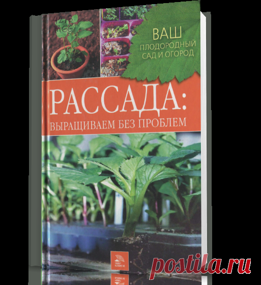 Рассада. Выращиваем без проблем.