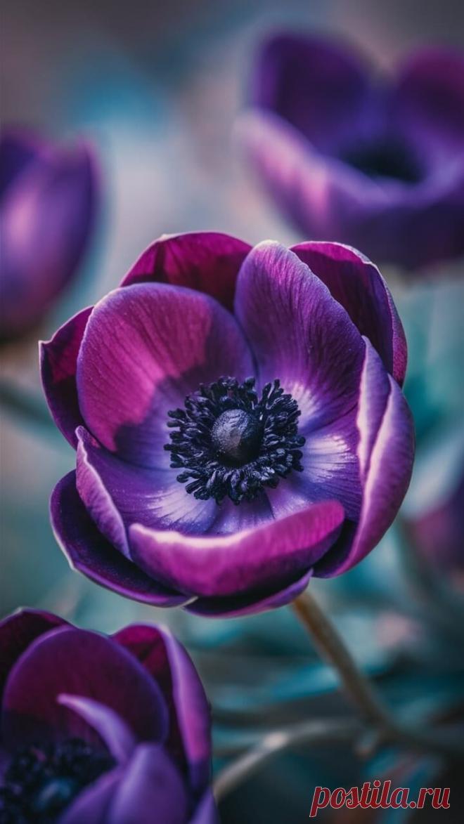 Типы и виды цветочного оформления ландшафта
В процессе создания искусственного ландшафта и его озеленения
цветочные растения обычно объединяют в группы. 
Такие группы называют типами зеленых насаждений. 

В пределах типов в зависимости от размера, геометрической формы, числа растений выделяют отдельные виды цветников как участков ограниченной территории для выращивания цветов. В последнее время в цветники все чаще включают невысокие кустарники и деревья. 

Особое место сре...