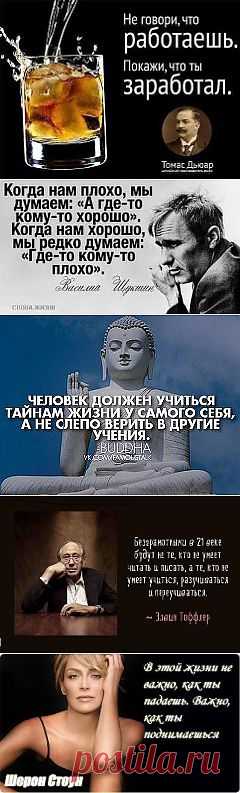 УМНЫЕ МЫСЛИ ВЕЛИКИХ ЛЮДЕЙ...