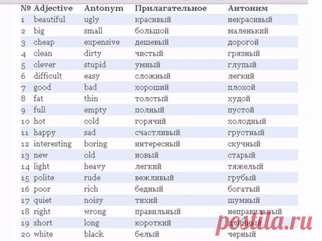 Begin English. Английский язык для всех - Группы Мой Мир
